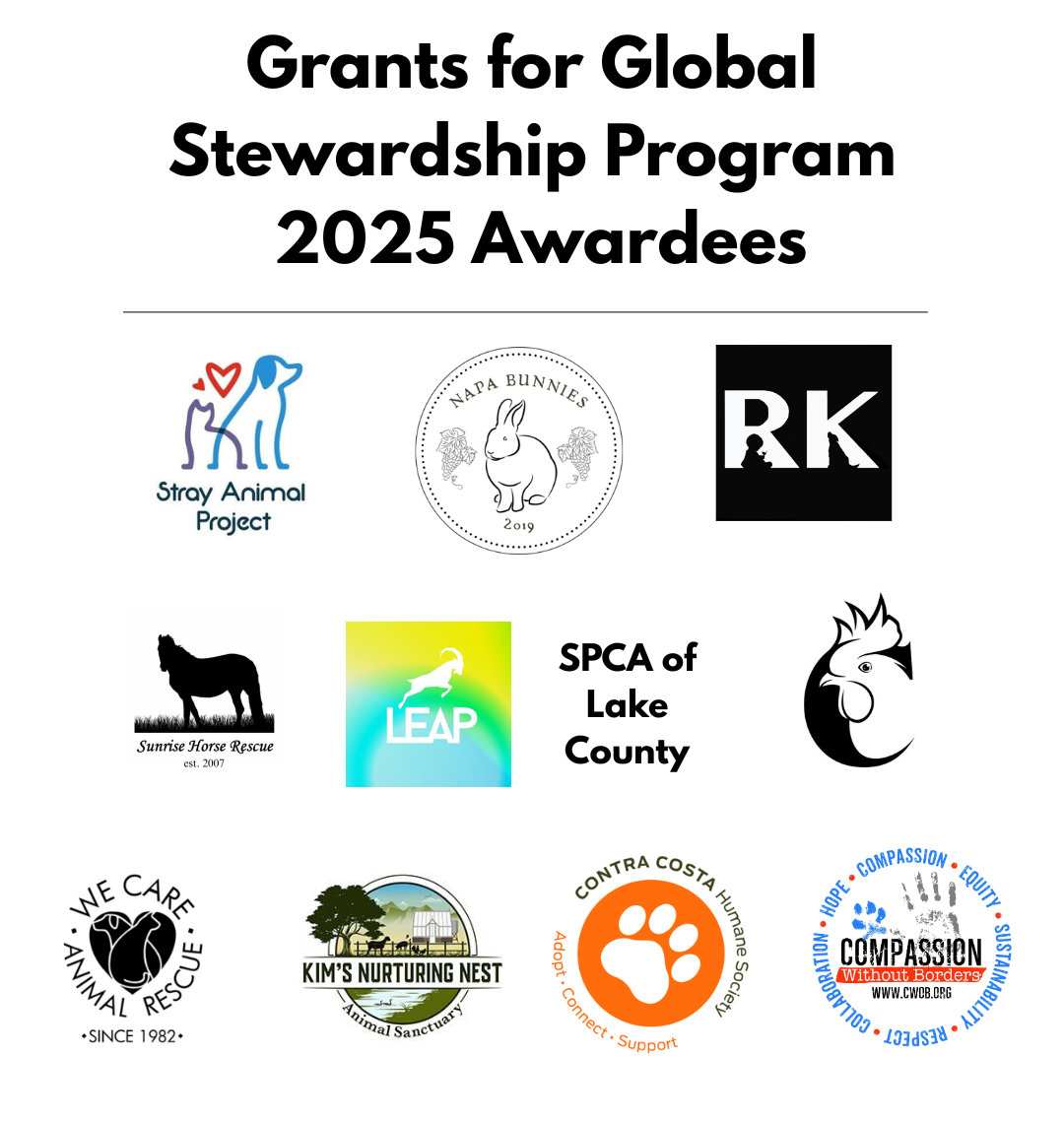Global Giving Grantees